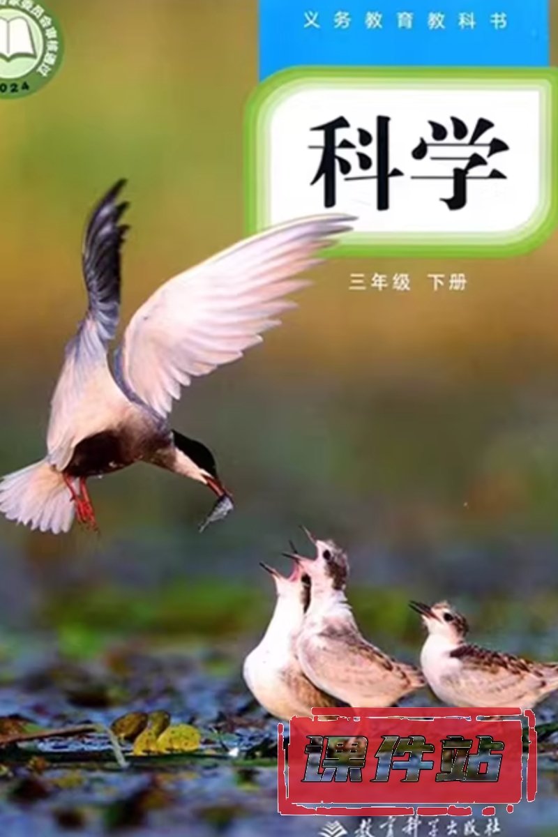 教科版三年级科学下册