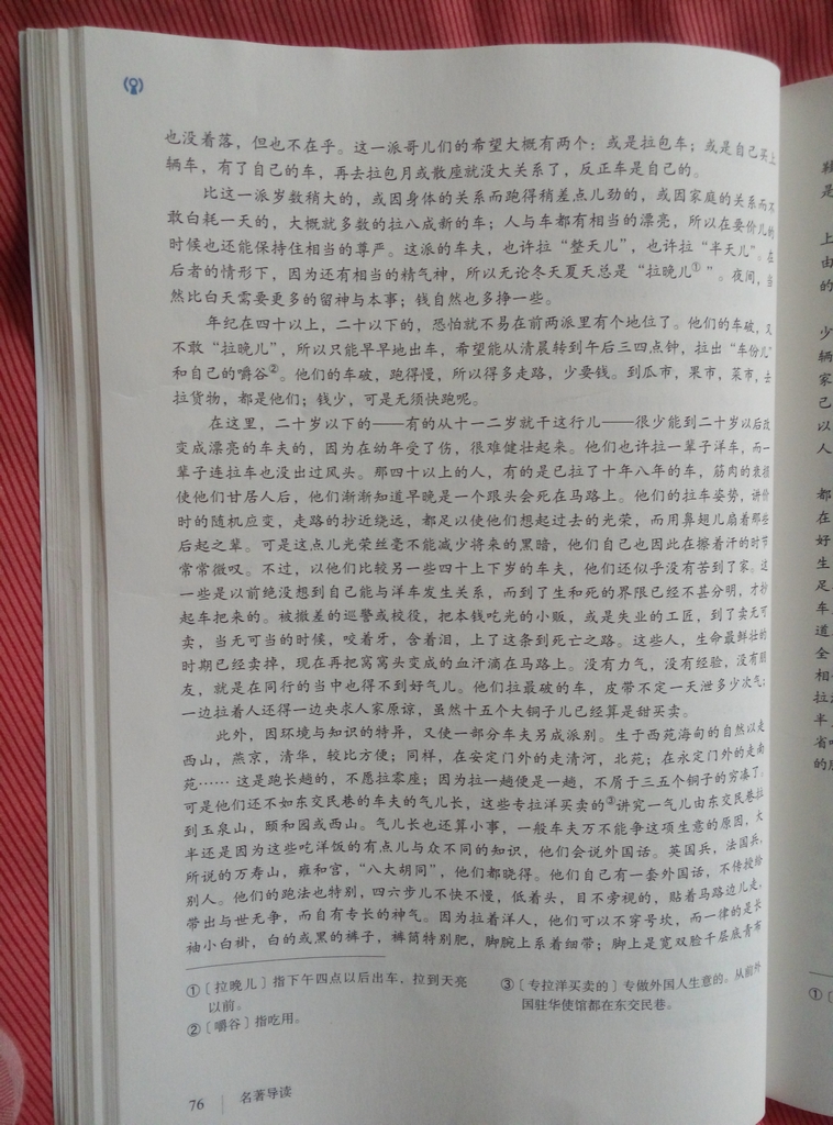 名著导读《骆驼祥子》圈点与批注(Page76)