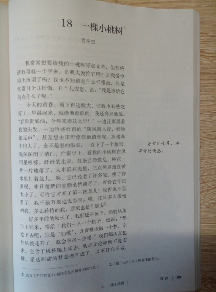 18*一棵小桃树贾平凹(Page109)