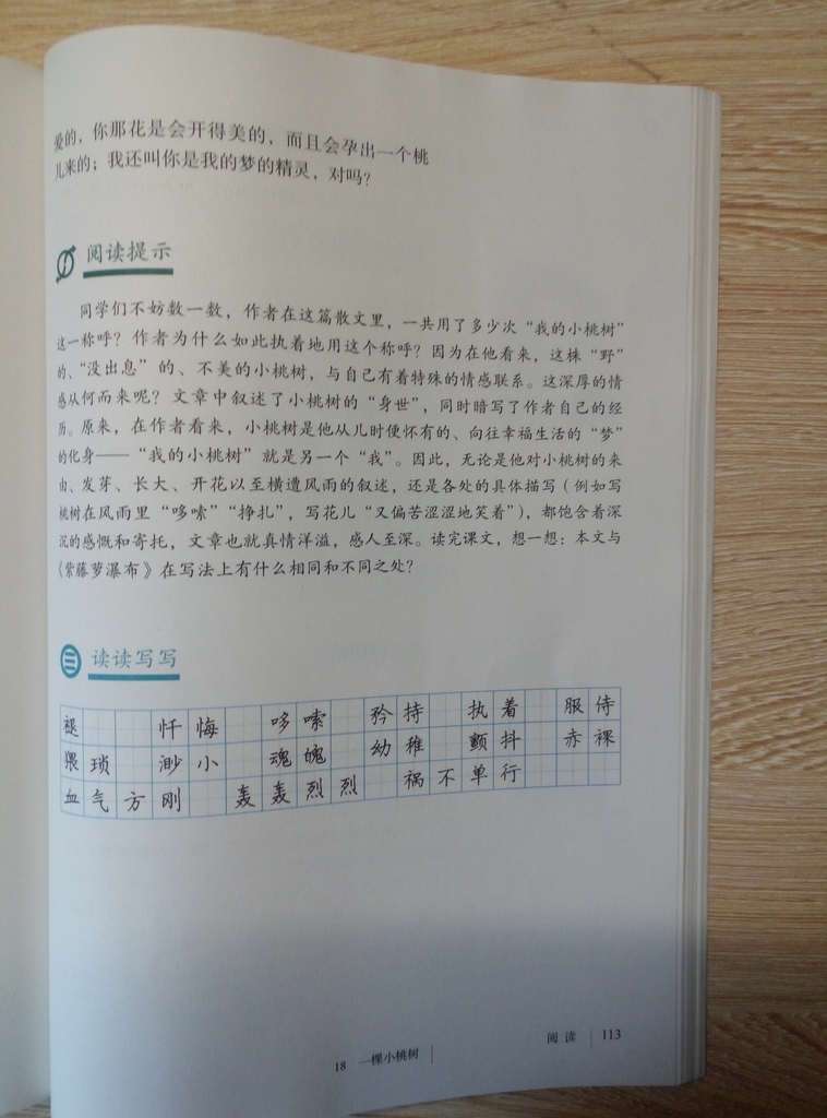 18*一棵小桃树贾平凹(Page113)