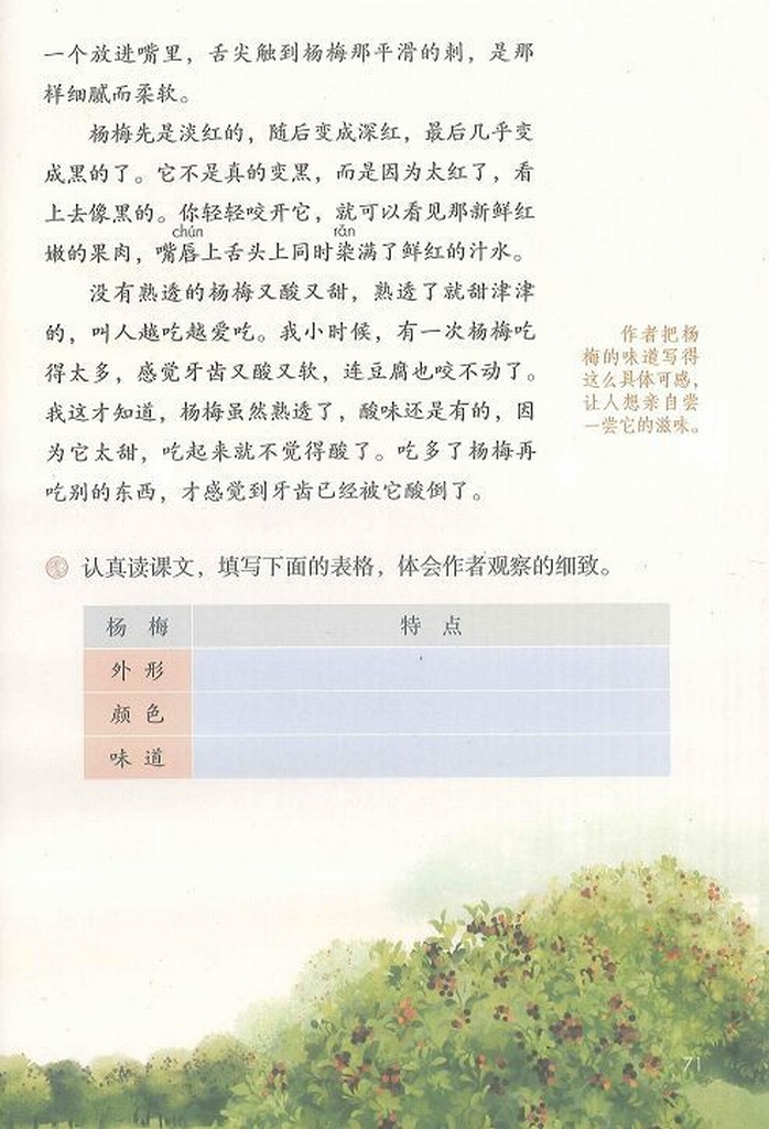 我爱故乡的杨梅(Page71)