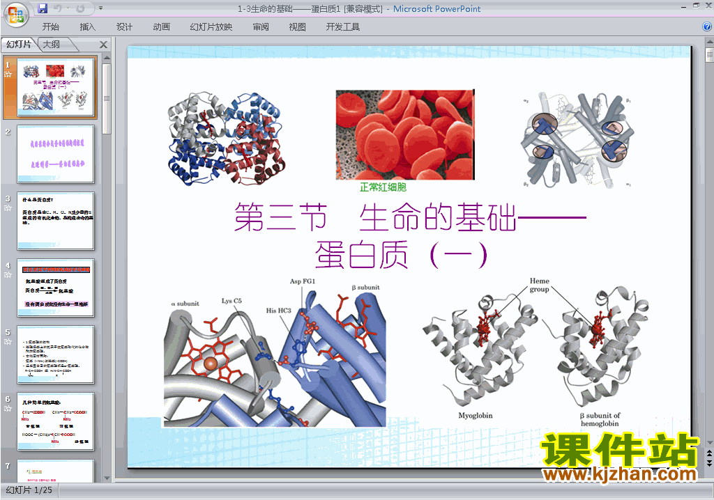 化学选修1优质课1.3生命的基础-蛋白质ppt课件下载