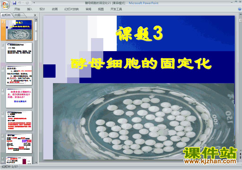 下载课题3:酵母细胞的固定化ppt课件(生物选修1)
