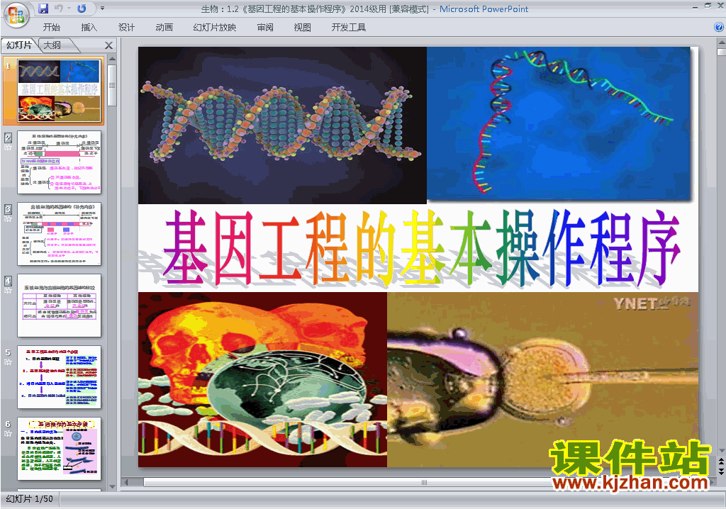 生物选修3基因工程的基本操作程序ppt课件下载