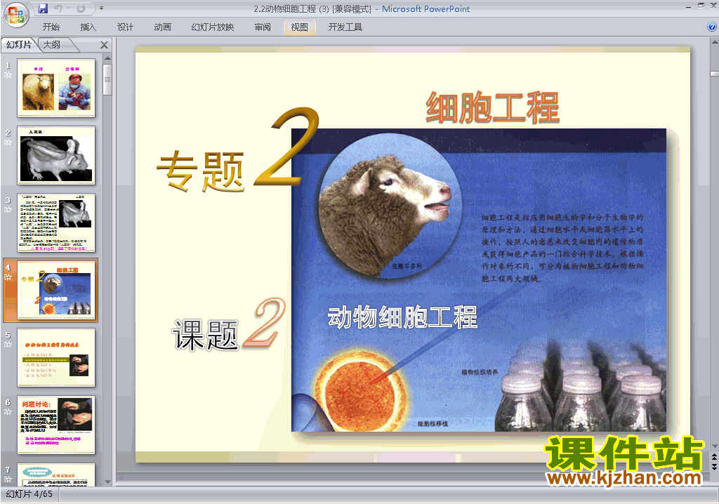 下载2.2动物细胞工程ppt课件(高中人教版生物选修3)