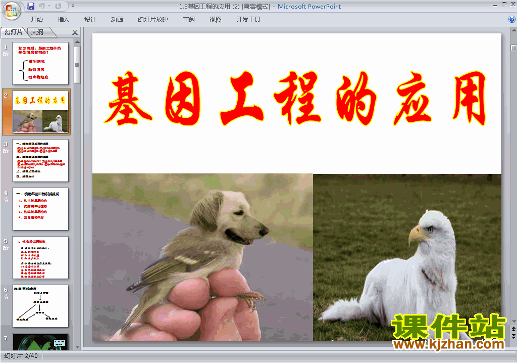 下载1.3基因工程的应用ppt课件(高中人教版生物选修3)