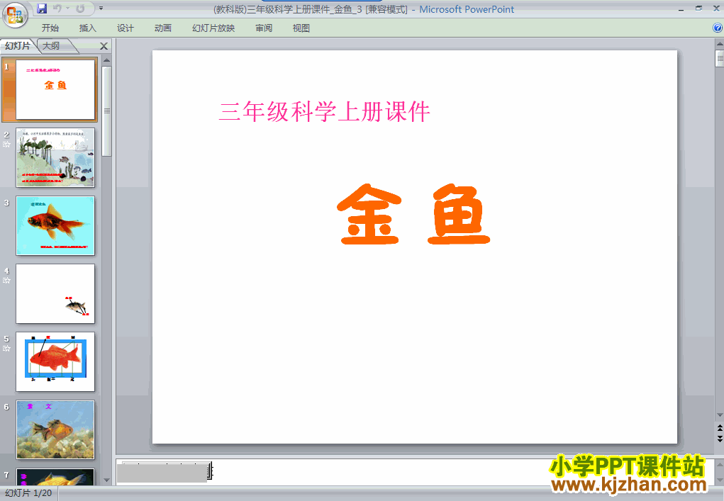 三年级科学上册第二单元“动物”2.6金鱼ppt课件下载