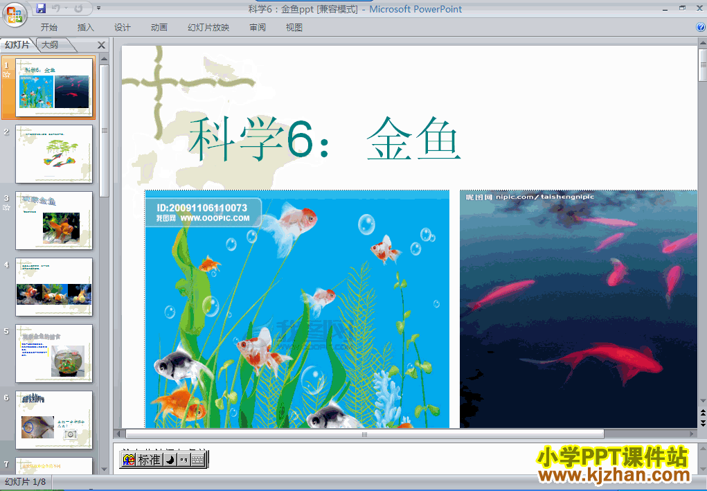 下载第二单元“动物”2.6金鱼ppt课件(三年级科学上册)
