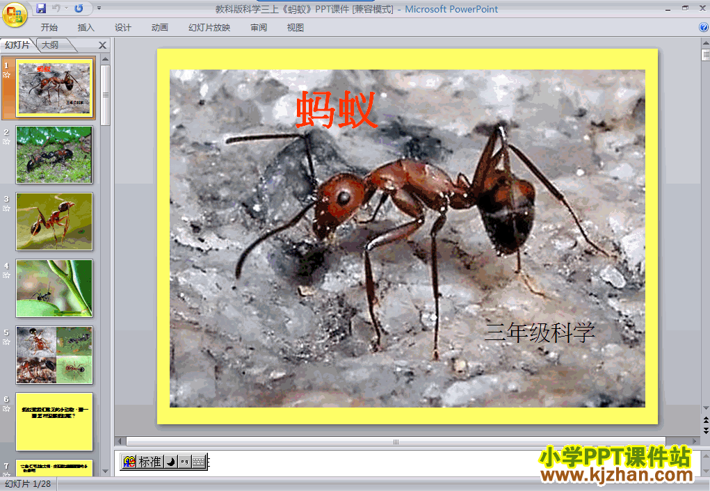 科学第二单元“动物”2.5蚂蚁ppt课件（三年级上册）