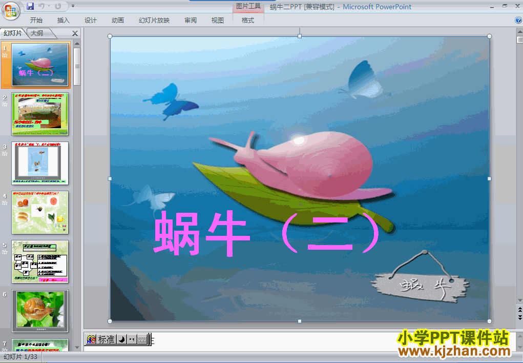 下载2.3蜗牛（二）ppt课件(三年级科学上册)