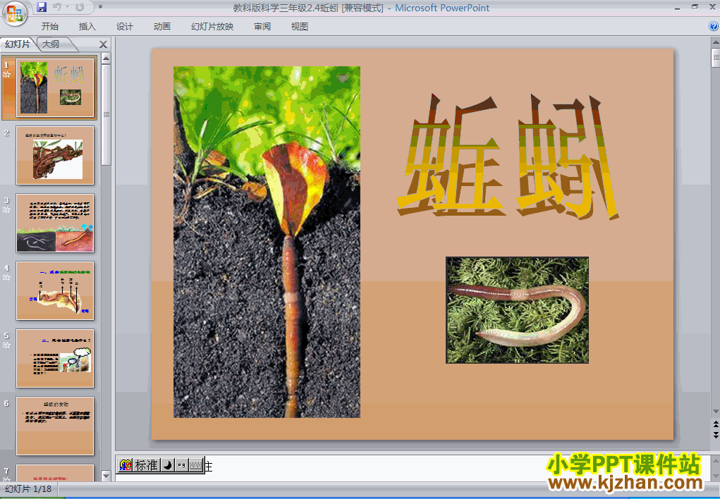 下载第二单元“动物”2.4蚯蚓ppt课件(三年级科学上册)