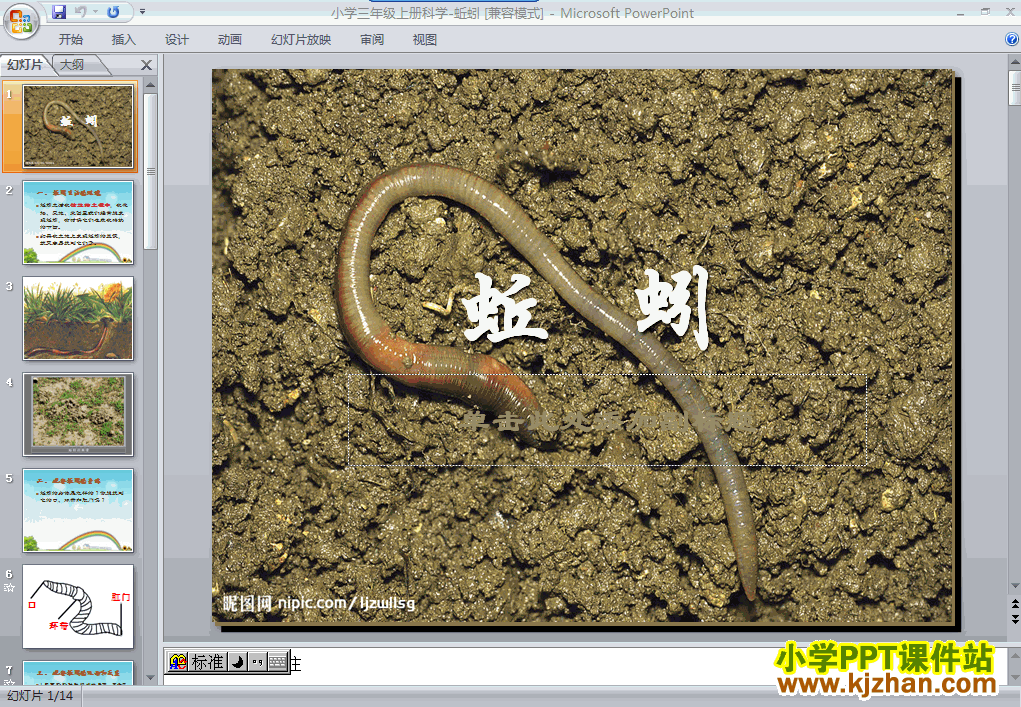 三年级上册科学24蚯蚓ppt课件免费下载教科版