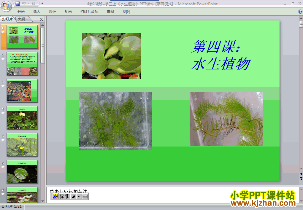 下载“植物”1.4水生植物ppt课件(三年级科学上册)