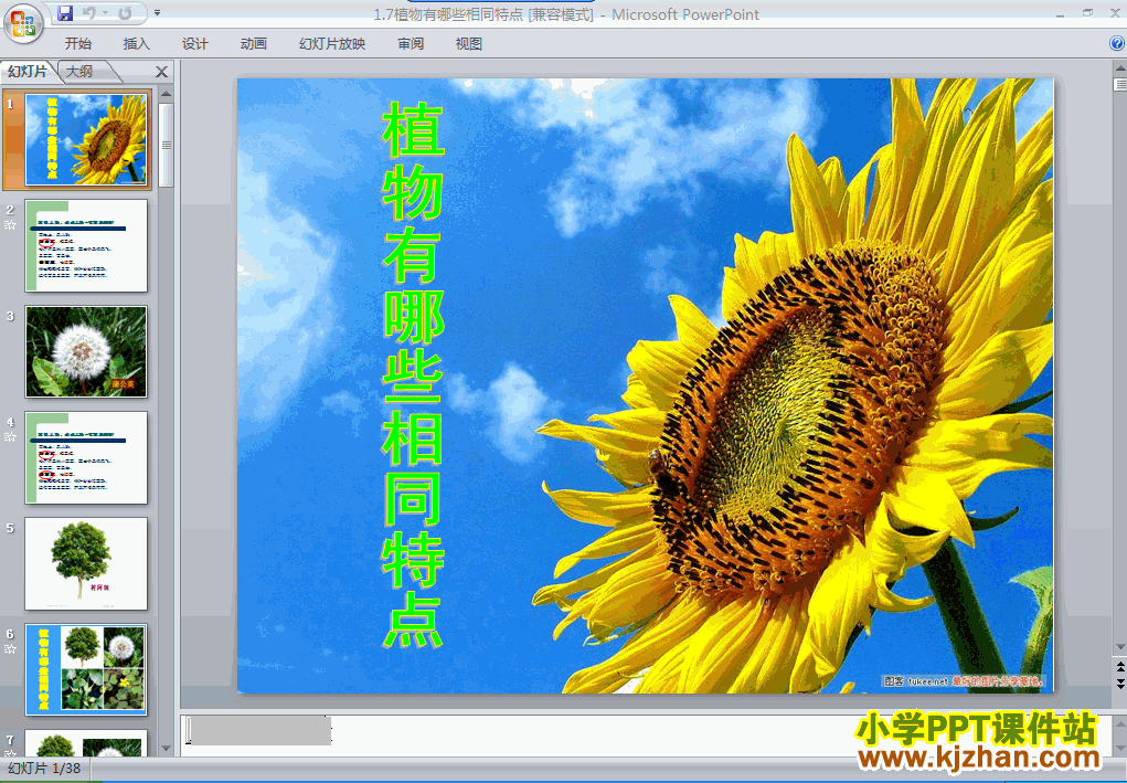 三年级科学上册1.7植物有哪些相同点ppt课件下载