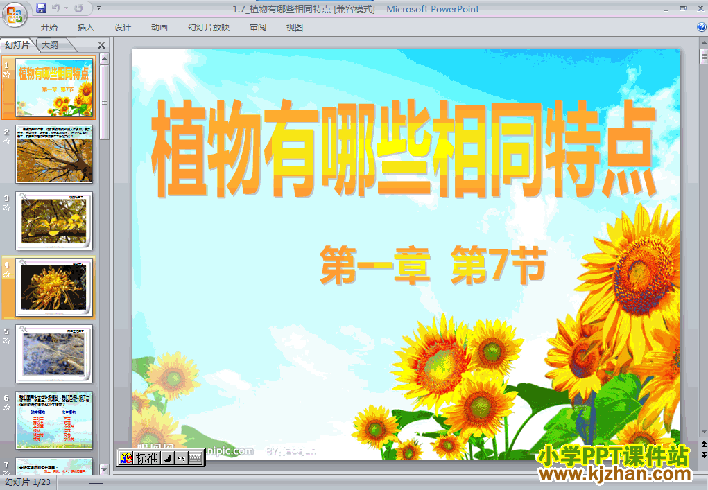 教科版1.7植物有哪些相同点PPT教学课件(三年级科学上册)