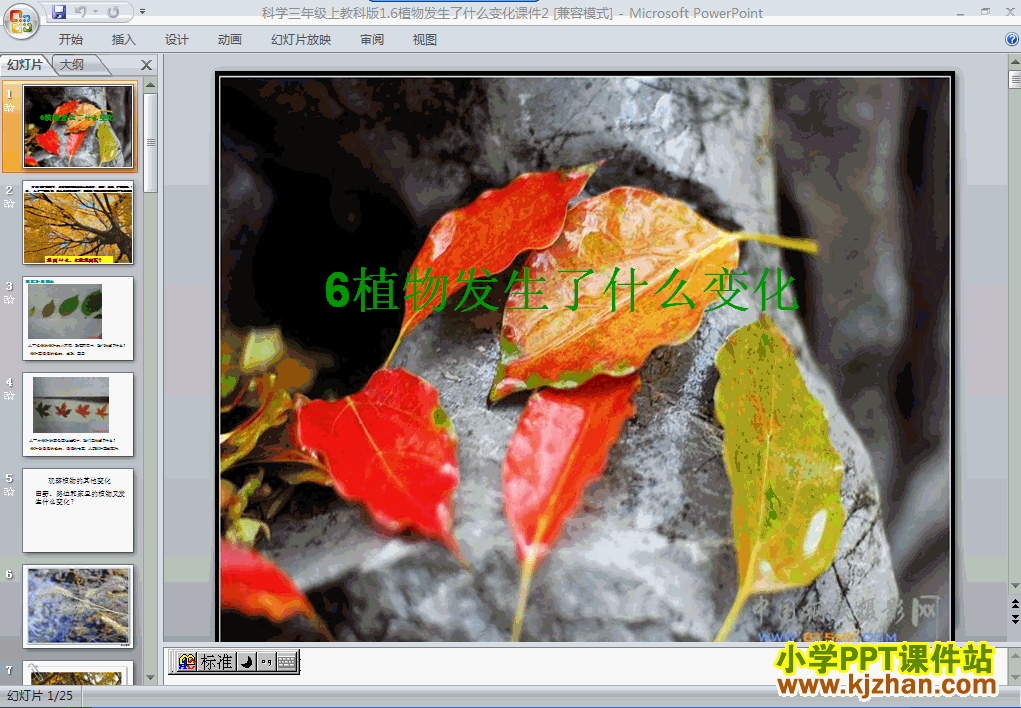 教科版1.6植物发生了什么变化PPT教学课件(三年级科学上册)