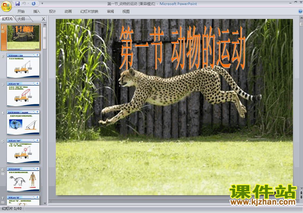 5.2.1动物的运动PPT教学自制课件(八年级生物上册)