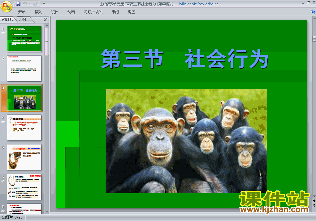 八年级上册生物5.2.3社会行为优质课ppt课件下载