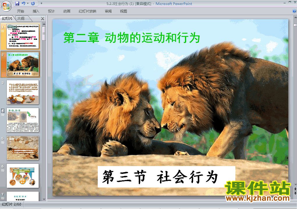 下载八上生物公开课ppt5.2.3社会行为课件