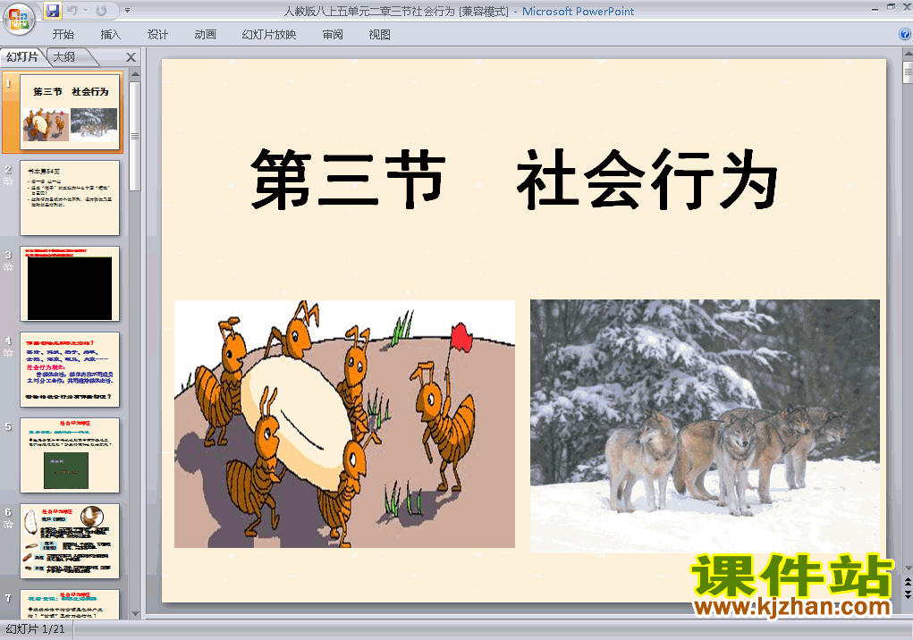 下载5.2.3社会行为八年级上册生物公开课ppt课件