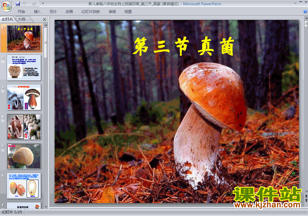 八年级上册生物5.4.3真菌优质课ppt课件下载