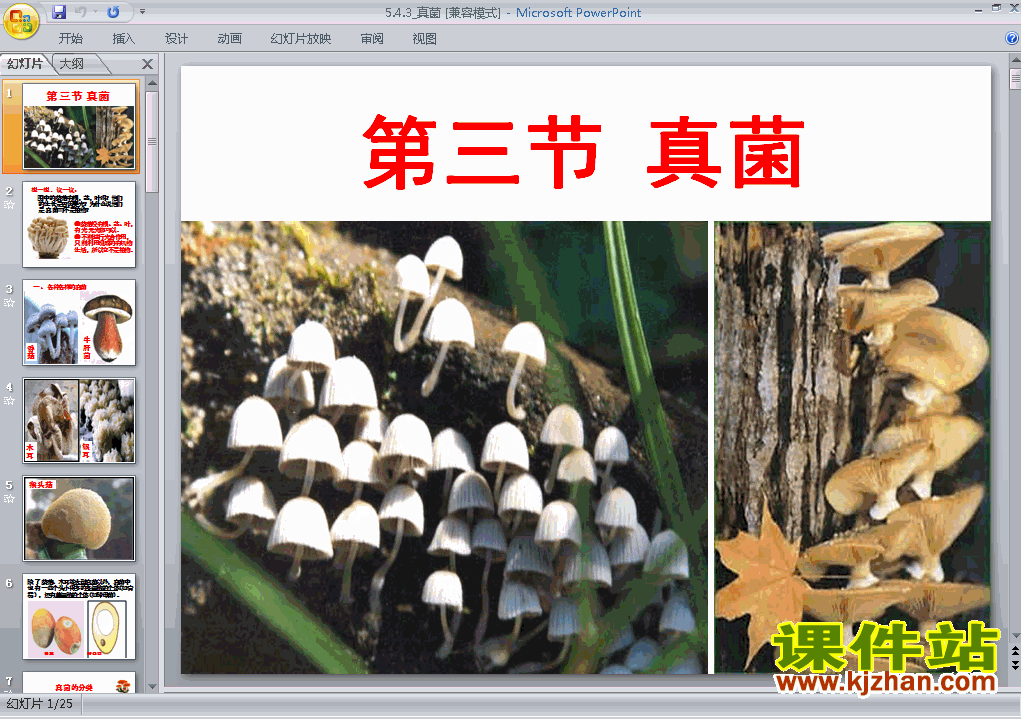 下载八上生物公开课ppt5.4.3真菌课件