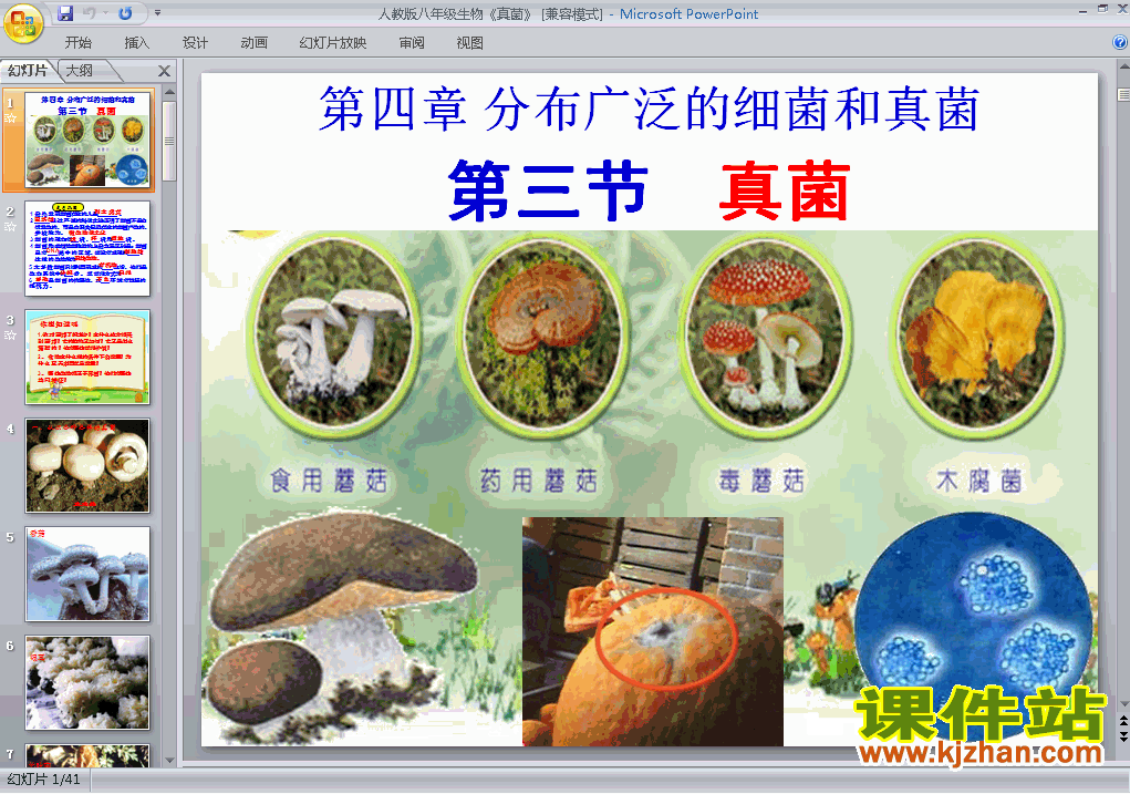 八上生物5.4.3真菌ppt比赛获奖教学课件下载