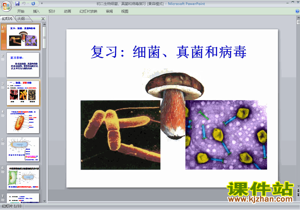 5.4.3真菌PPT教学自制课件(八年级生物上册)
