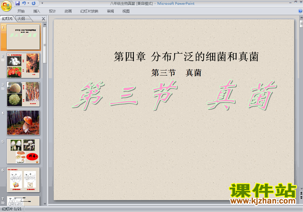 八上生物5.4.3真菌优秀获奖PPT课件下载
