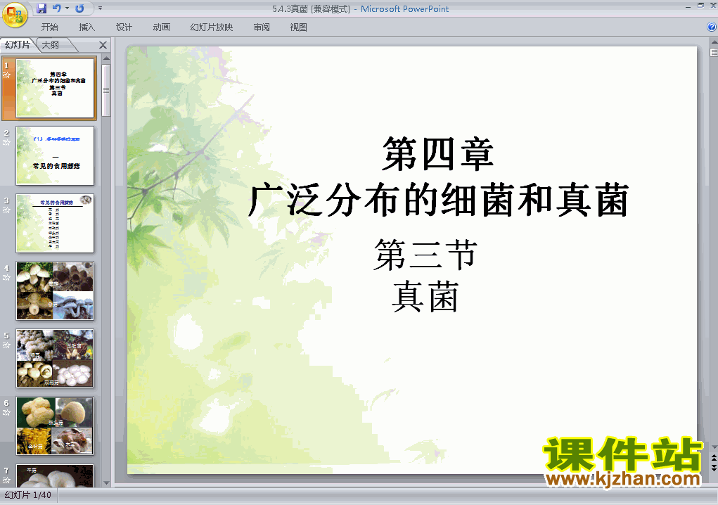 下载生物八上5.4.3真菌教研课PPT教学课件