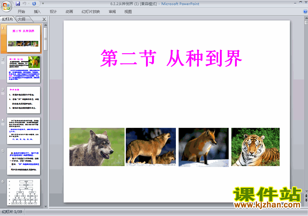 下载生物八上6.1.2从种到界教研课PPT教学课件