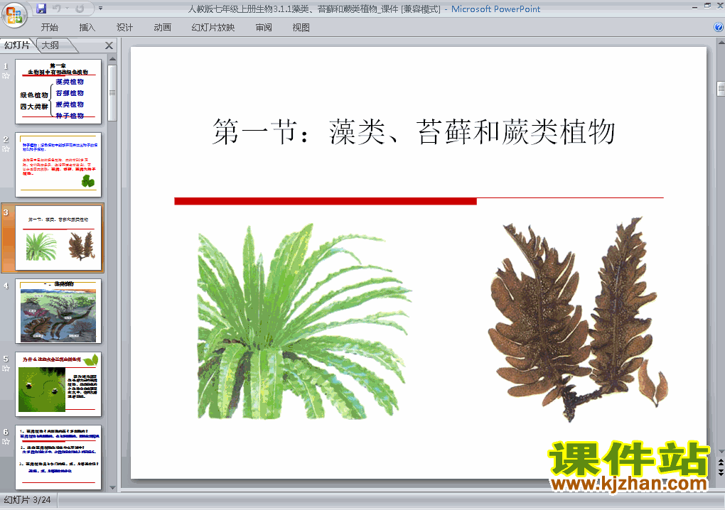 3.1.1藻类苔藓和蕨类植物PPT教学自制课件(七年级生物上册)