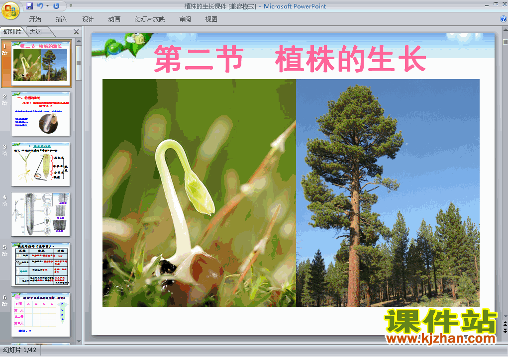 七年级上册生物3.2.2植株的生长优质课ppt课件下载