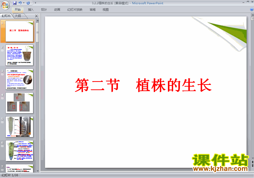 下载七上生物公开课ppt3.2.2植株的生长课件