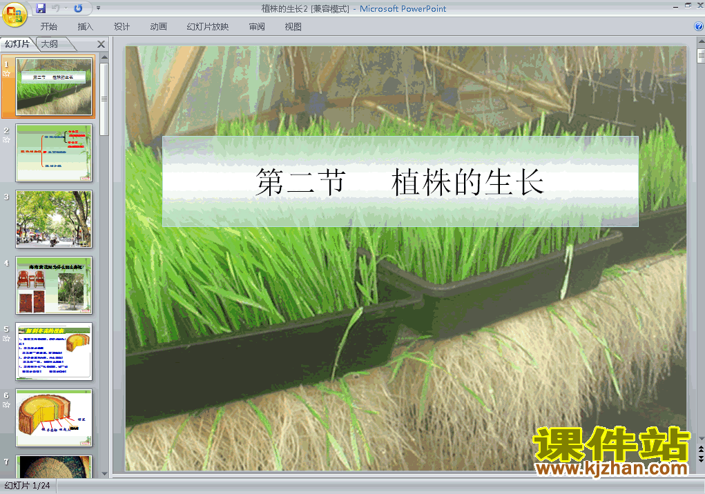 下载3.2.2植株的生长七年级上册生物公开课ppt课件
