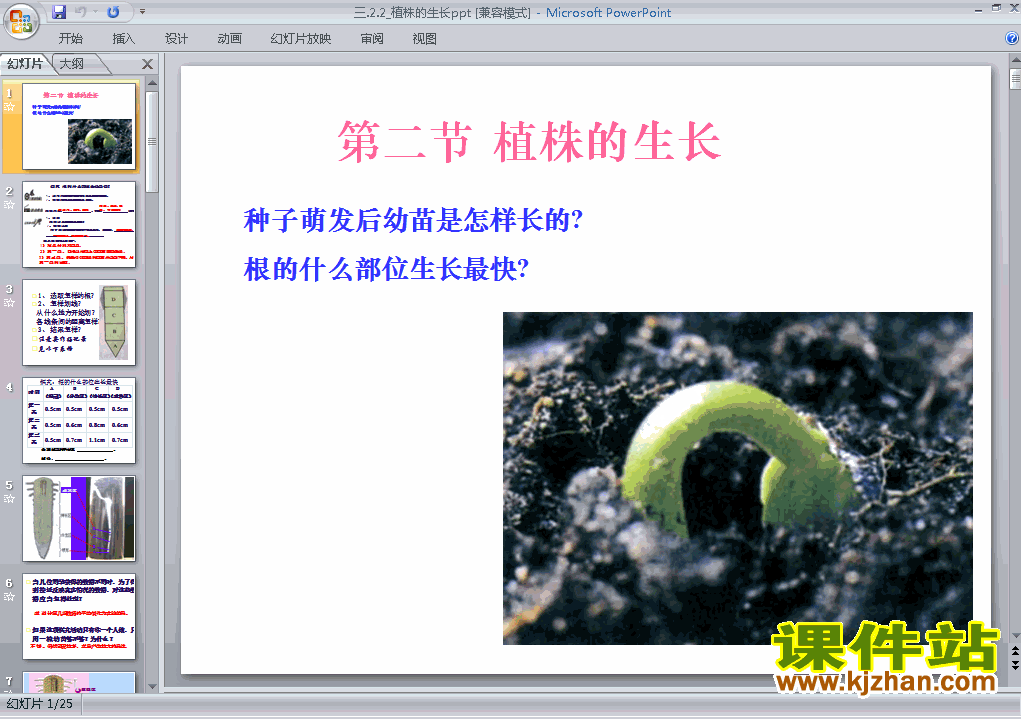 人教版生物3.2.2植株的生长ppt原创课件（七上）