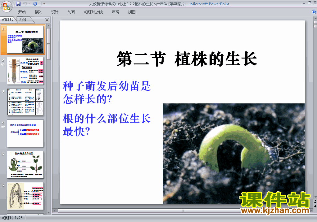 3.2.2植株的生长PPT教学自制课件(七年级生物上册)