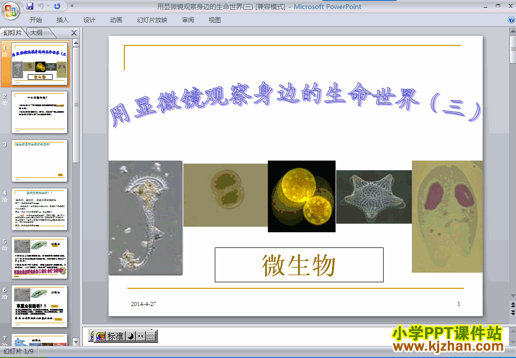 科学用显微镜观察身边的生命世界(三)ppt课件（六年级下册）
