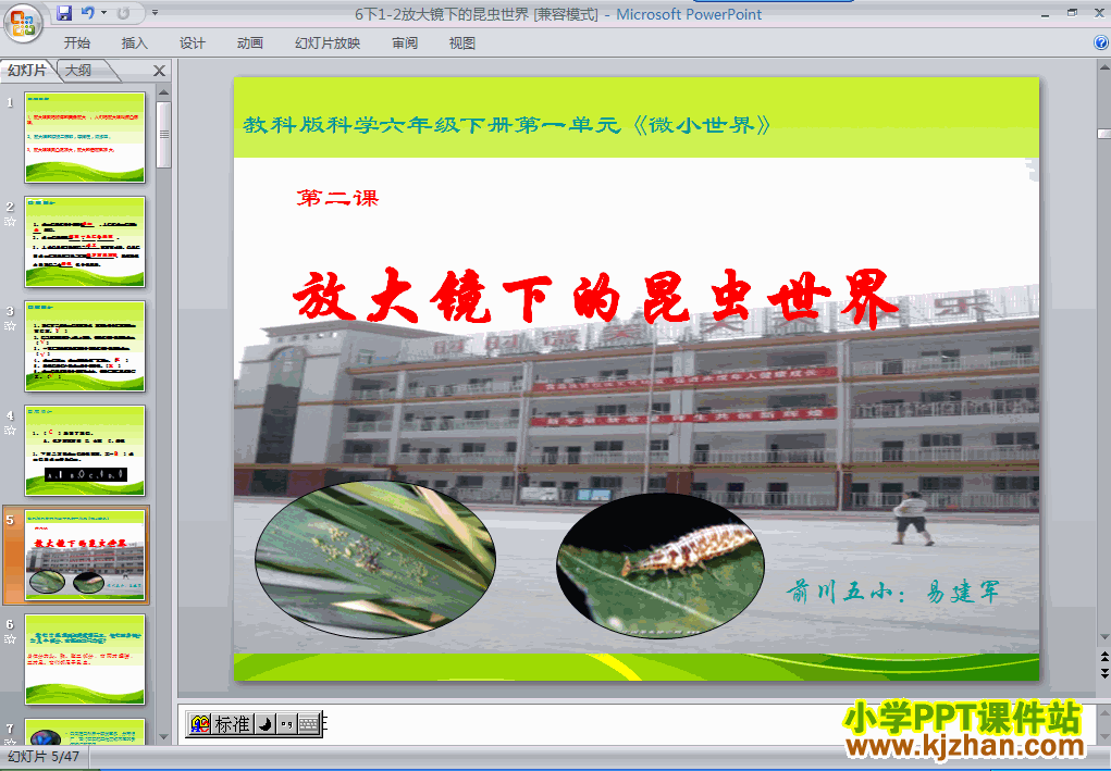 六年级科学下册第一单元放大镜下的昆虫世界ppt课件下载