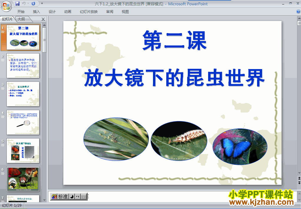 六年级科学下册放大镜下的昆虫世界ppt教学课件下载