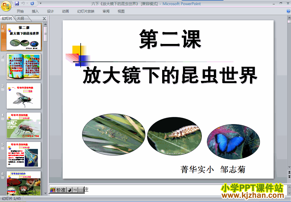 科学放大镜下的昆虫世界ppt课件（六年级下册）