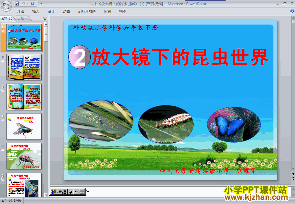 教科版第一单元：放大镜下的昆虫世界PPT教学课件(六下)