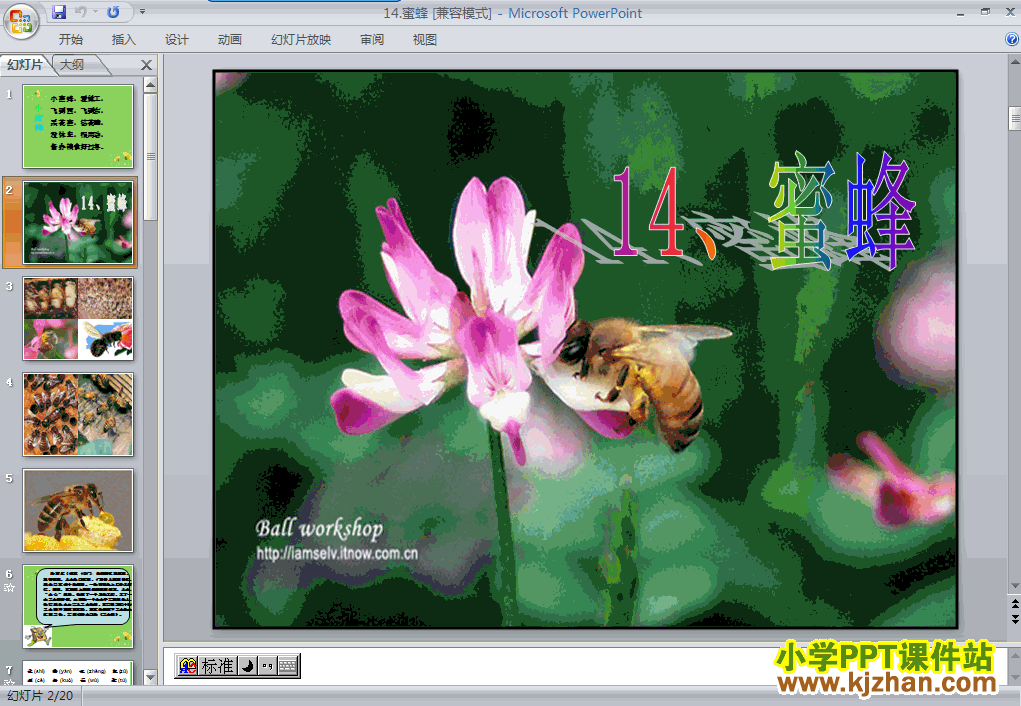 蜜蜂ppt三年级语文上册课件下载