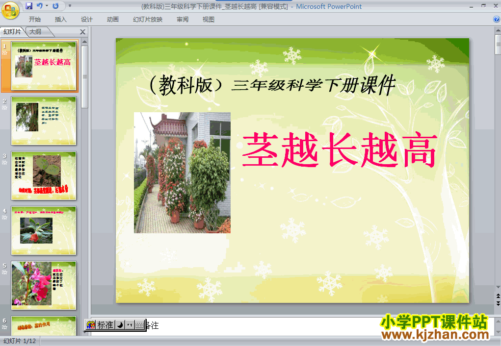 科学第一单元1.5茎越长越高ppt课件（三年级下册）