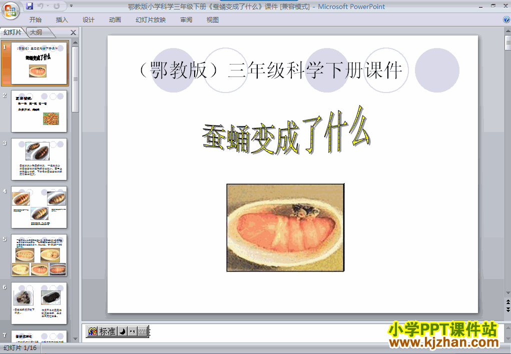 科学第二单元2.4蛹变成了什么ppt课件（三年级下册）
