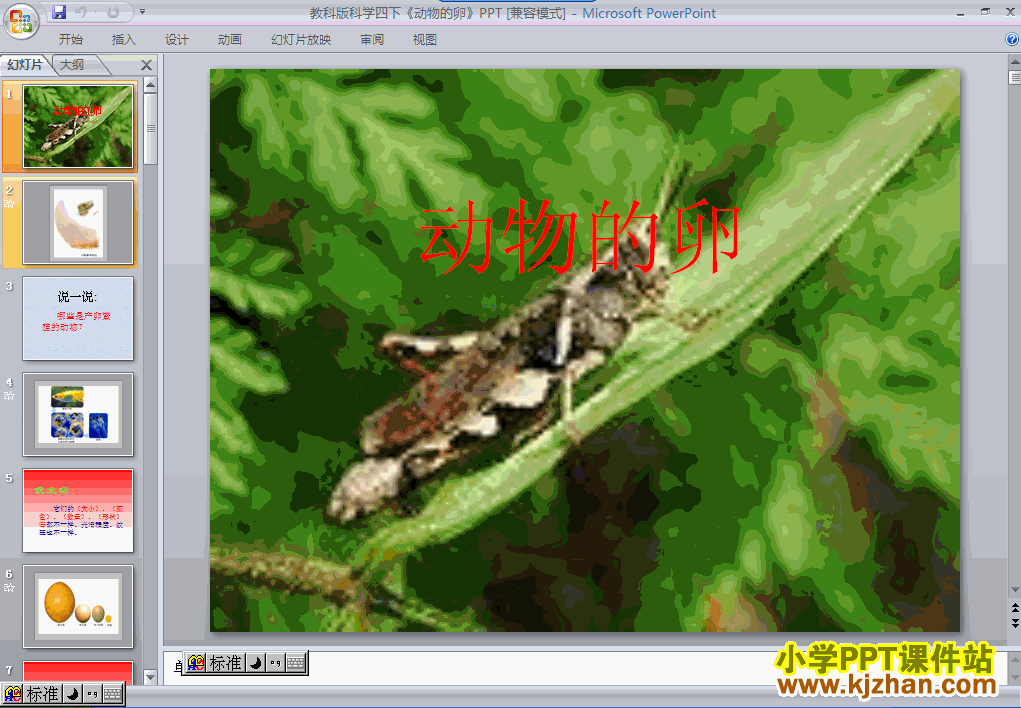 四年级科学下册第二单元动物的卵ppt教学课件下载