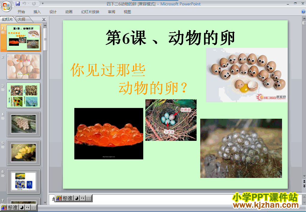 教科版第二单元：动物的卵PPT教学课件(四年级科学下册)