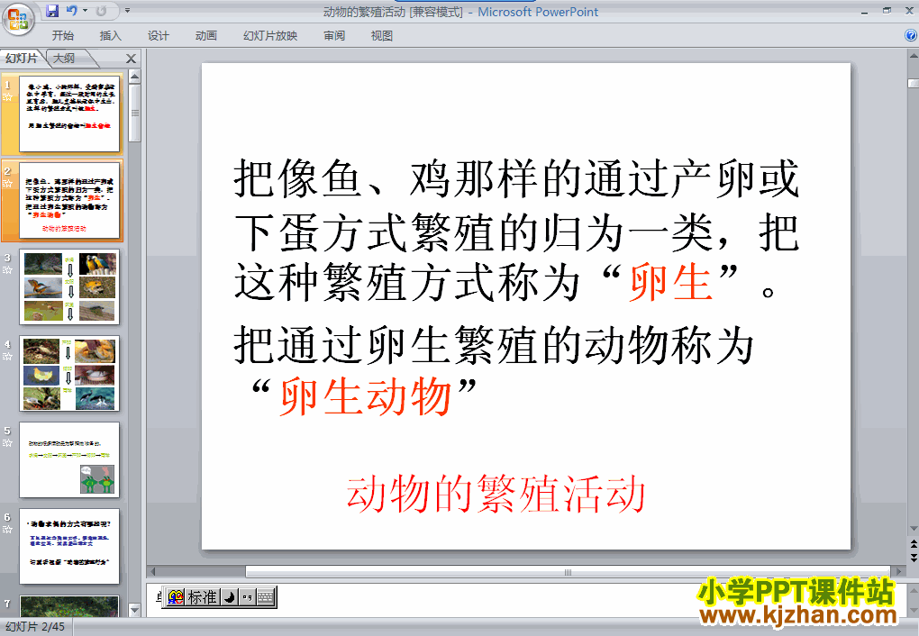 科学“新的生命”动物的繁殖活动ppt课件（四年级下册）