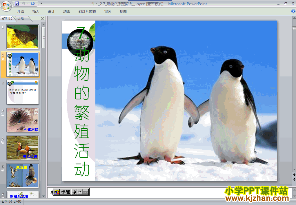 四年级科学下册动物的繁殖活动PPT课件下载(教科版)