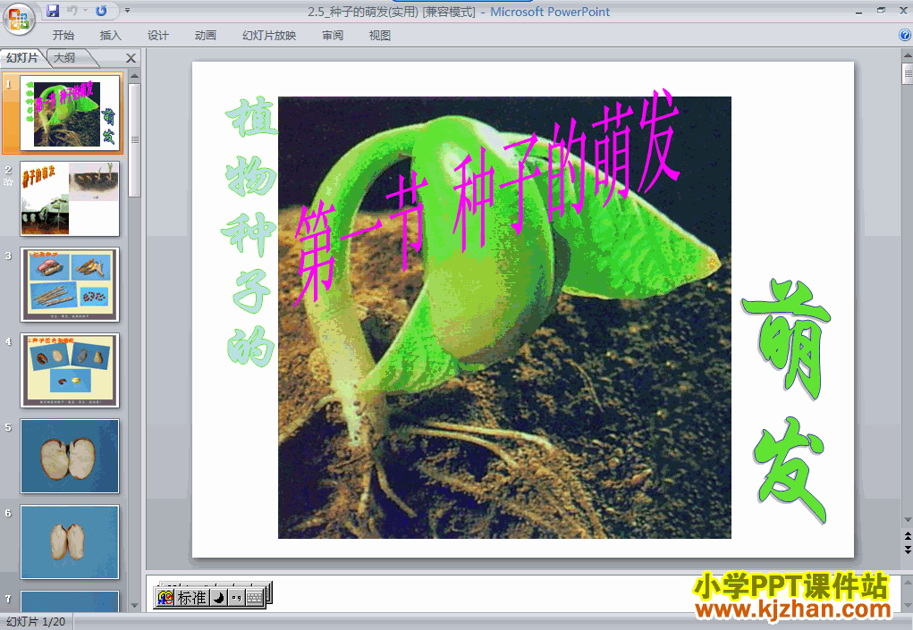 下载第二单元种子的萌发ppt课件(四年级科学下册)